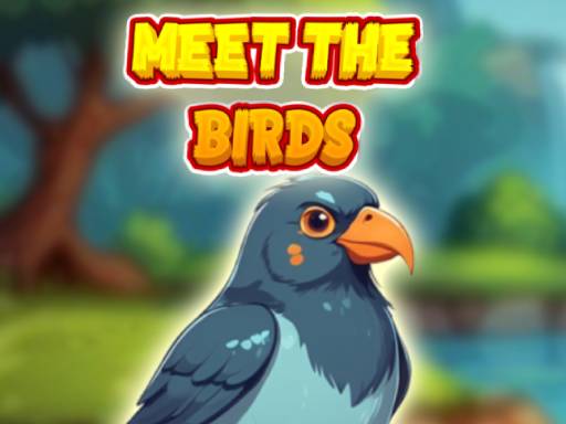 Meet The Birds
